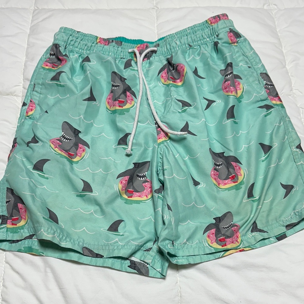 No Boundaries Teal Swim Shorts